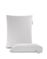 Rücken- + Sitz-Kissen Set